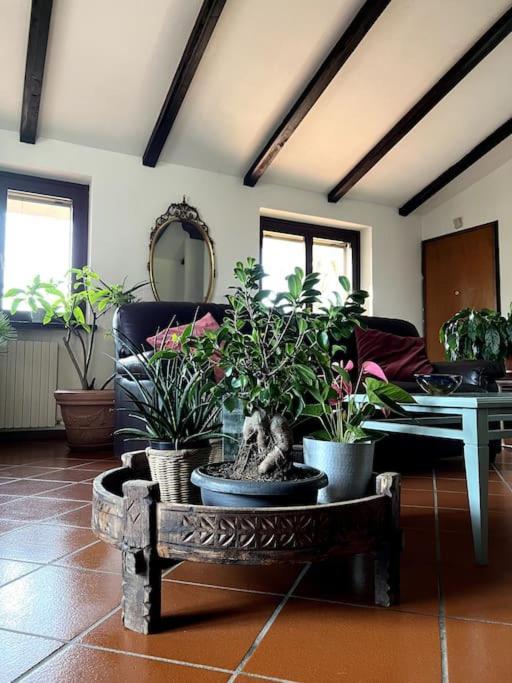 Apartment In Villa La Carruba Ривергаро Екстериор снимка