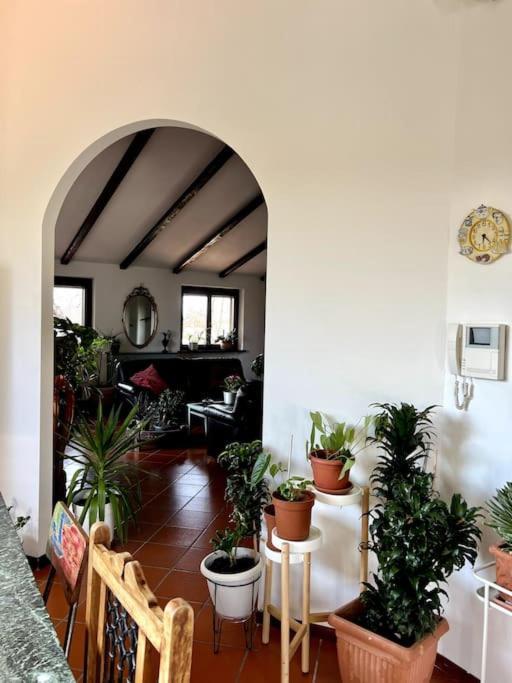 Apartment In Villa La Carruba Ривергаро Екстериор снимка